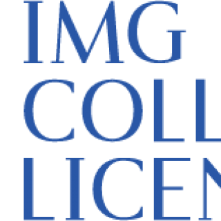 IMG College