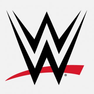 WWE Job
